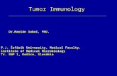 [PPT]Tumor Immunology - TOP Recommended Websites · Web viewTumor Immunology Dr.Marián Sabol, PhD. P.J. Šafárik University, Medical Faculty, Institute of Medical Microbiology Tr.