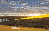 2013–14 - EY · African markets offer an exciting growth ... language and cultural dynamics ... and for assessing different strategic options.