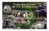 History of City-Owned Parkland · History of City-Owned Parkland Strips on the Superblocks ... – Compliance with Code of Conduct: requirements to behave in a cooperative & amicable