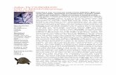 On Sea Turtles - Biology Unit - Wikispacesenglish4pleasure.wikispaces.com/file/view/On+Sea+Turtles.pdf · Author: Ela VALIMAREANU UNIT 17: BIOLOGY/Herpetology On Sea Turtles New Vocabulary