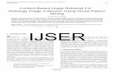 IJSER - Online International Journal, Peer Reviewed … · 2016-09-09 · than process or segment tissues in individual slides. ... system that can filter images based on their content