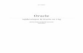 Oracle - perso.limsi.fr · Auteur : Quentin Godeau Nicolas Lemonnier 2/17 INTRO U TION Cette documentation a pour objectif de vous permettre dinstaller Oracle express edition 11g