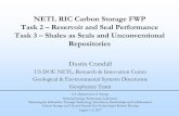NETL RIC Carbon Storage FWP Task 2 – Reservoir and Seal ... Library/Events/2017/carbon-storage... · NETL RIC Carbon Storage FWP Task 2 – Reservoir and Seal Performance Task 3