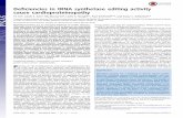 Deficiencies in tRNA synthetase editing activity cause ...· Deficiencies in tRNA synthetase editing