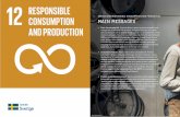 SWEDEN AND RESPONSIBLE CONSUMPTION AND … process. Substitution, ... ment cooperation also promotes sustainable ... a modern and sustainable welfare nation at