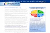BRIEF BACKGROUND OF THE COMPETING VALUES FRAMEWORK (CVF ... · BRIEF BACKGROUND OF THE COMPETING VALUES FRAMEWORK (CVF) The Competing Values Framework (CVF) emerged over twenty-five