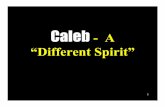 Caleb - A “Different Spirit” - Braggs Church of Christ ... · Caleb - A “Different Spirit ... go up at once, and possess it; 5 ... •“But all the congregation bade stone