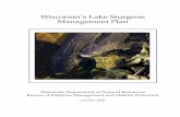 Wisconsin’s Lake Sturgeon Management Plandnr.wi.gov/topic/fishing/documents/sturgeon/lsturmplan_eversion.pdf · Wisconsin’s Lake Sturgeon Management Plan Wisconsin Department