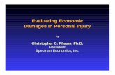 Evaluating Economic Damages In Personal Injury · Evaluating Economic Damages In Personal Injury by Christopher C. Pflaum, Ph.D. ... Fringe Benefits Legally Required (8.9%) Social