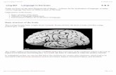 Ling 001 Language in the brain - University College Dublin · Ling 001 Language in the brain Today we focus on the more physical side of things -- evidence for the localization of