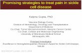 Promising strategies to treat pain in sickle cell disease€¦ · Promising strategies to treat pain in sickle ... Modified from, Aich A, Beitz A & Gupta K, 2016 TAK242 NOP ... Jinny