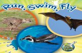 run, Swim, Fly - Smcps - Schools ·  Run, Swim, Fly Lundgren Rourke Classroom Have you ever wondered about the science all around us? Plants …