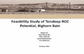 Feasibility Study of Tensleep ROZ Potential, Bighorn Bain · Trapper Canyon Tar Sands. Tensleep reservoirs located in lower portion of east Bighorn Basin flank ... • Determine oil