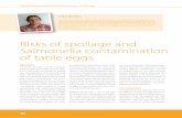Risks of spoilage and Salmonella contamination of table eggs · rsks of spoilage and i salmonella contamination of table eggs Abstract Consumers and food business operators ... spoilage
