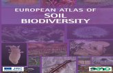 EUROPEAN ATLAS OF SOIL BIODIVERSITY - …saveoursoils.com/userfiles/downloads/1354896723-Biodiversity_Atlas...SECTION ONE Authors and Acknowledgements 3 Preface and Foreword 5 Chapter