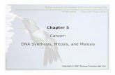 Chapter 5 Cancer: DNA Synthesis, Mitosis, and Meiosiscmalone/pdf100/Ch05-1cancer.pdfCopyright © 2007 Pearson Prentice Hall, Inc. 1 Chapter 5 Cancer: DNA Synthesis, Mitosis, and Meiosis