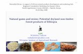 Natural gums and resins-Wubalem Tadesse - World ... gums and resins: Potential dryland non timber forest products of Ethiopia NaturallyAfrican: in support of African natural products