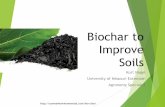 Biochar to Improve - University of Missouri Extensionextension.missouri.edu/nodaway/documents/Biochar_SALE.pdf · Biochar to Improve Soils Kurt Nagel University of Missouri Extension