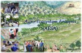 Agro-Ecosystem Analysis (AESA) - NPTELnptel.ac.in/courses/126104003/LectureNotes/Week-6_AESA_IPM_lect2.pdfWhat is AESA??? An approach, which can be gainfully employed by extension