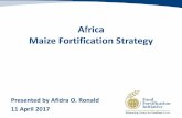 Africa Maize Fortification Strategy - ECSA-HCecsahc.org/wp-content/uploads/2017/04/10-4-2017-Arusha-ECSA... · • Draft maize strategy was shared with country ... maize flour/meal