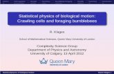 Statistical physics of biological motion: Crawling cells ...klages/talks/biomot_ucalg.pdf · Outline Cell migration Results Summary Bumblebee foraging Results Summary Conclusion Statistical
