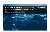 Child Labour in the Indian Cottonseed Sector companies active in India’s cottonseed sector had human rights policies that include the prevention of child labour and initiated a range