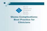 Stoma Complications: Best Practice for Clinicians Central Iowa Health Care Des Moines, IA Anita Prinz, MSN, CWOCN, CFCN Consulting Holistic Ostomy and Wound Care Boynton Beach, FL