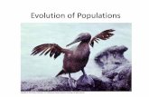 evolution of populations - Weeblykylecollinsbiology.weebly.com/.../evolution_of_populations.pdf · Evolution of Populations ... by which one species evolves into several ... No movement