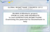 BioWALK4Biofuels project: FROM ALGAE AND …european-biogas.eu/wp-content/uploads/files/2013/11/10-Roberto... · Total volume: 160 m3 Footprint approx. 120 m2 The purpose of this