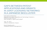 Gaps between patent applications and grants in joint ... · APPLICATIONS AND GRANTS IN JOINT LICENSING NETWORKS ... •Big gaps between patent applications and grants in joint ...