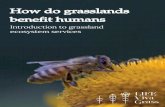Introduction to grassland ecosystem services · How do grasslands benefit humans: introduction to grassland ecosystem services Edgars Bojārs (Baltic Environmental Forum - Latvia),