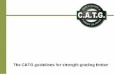 catg.co.ukcatg.co.uk/CATGGradingguidelines.pdf · CE marking to EN 14081 and EN 338 for machine grading PRODUCER IDENTIFICATION BRITISH AND EUROPEAN STANDARDS CATG IDENTIFICATION