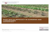 DUST MULCH EFFICACY IN GARDENS AND LANDSCAPEScru.cahe.wsu.edu/CEPublications/FS167E/FS167E.pdf · Dust Mulch Efficacy in Gardens and Landscapes Dust mulching is a soil ... by wind