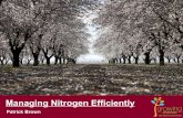 Managing Nitrogen Efficiently - The Fluid Fertilizer ...· •Essential for plant growth and critical