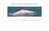 The Conservation Programme for the Chinese White Dolphin ... · biology and status of the Chinese White Dolphin in Hong Kong. Dr Thomas A. Jefferson of Ocean Park Conservation Foundation