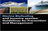 Document1 - ISSG · MARINE BIOFOULING AND INVASIVE SPECIES: GUIDELINES FOR PREVENTION AND MANAGEMENT 1. INTRODUCTION AND BACKGROUND 1.1 Invasive species in the marine environment