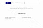 Final Report - EUROPA · Final Report Project No: 214832 ... MEMS or medical devices. ... The most interesting candidate was adjudged on the basis of its