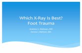 Which X-Ray Is Best? Foot Trauma - Stony Brook University ... · o MRI foot without contrast. 18 ACR Appropriateness Criteria Variant 5. Case 6 19 The boyfriend of the last patient