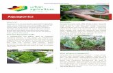 UAA Fact Sheet 5.02 - Aquaponics - UAA–Homeurbanagriculture.org.au/.../2013/09/UAA-Fact-Sheet-5.02-Aquaponics.… · UAA Fact Sheet 5.02 - Aquaponics Author: Jodie Pipkorn Created