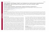 The Rab GTPase Ypt7 is linked to retromer-mediated ...jcs.biologists.org/content/joces/123/23/4085.full.pdf · and Sec4 TMD proteins ... SDS-PAGE and western blotting at the ... analyzed