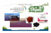 Gandalf 100% Vegan - Spiruline Gandalf · All Natural Process • Pesticide & Herbicide Free • GMO Free • Non-irradiated • Solvent Free • 100% Vegan SoftGels • 4mg pure