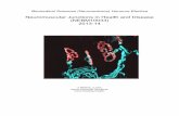 Neuromuscular Junctions in Health and Disease …€¦ · Neuromuscular Junctions in Health and Disease (NEBM10033) ... • Enhance your knowledge and understanding of the anatomy,