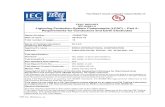 IEC 62561-2 Lightning Protection System Components (LPSC ... · TRF No. IEC6xxxx_xy Test Report issued under the responsibility of: TEST REPORT IEC 62561-2 Lightning Protection System