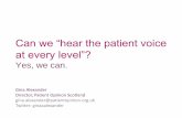 Can we “hear the patient voice at every level”? · a passive onlooker, ... Friends and Family Test. ... “Hear the patient voice at every level – even when that voice is a