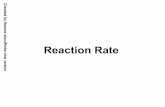 Chemistry Notes Reaction Rates - calhoun.k12.al.us Notes... · Method of Initial Rates Determines the reaction ... 3 0.200 0.200 16.0 X 10-3 ... Chemistry Notes Reaction Rates