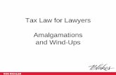 Tax Law for Lawyers Amalgamations and Wind-Ups · Tax Law for Lawyers Amalgamations and Wind-Ups ... amalgamation June 30, ... Tax Law for Lawyers Amalgamations and Wind-Ups RON RICHLER.
