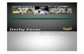 Derby Fever - juddstreettigers.files.wordpress.com · At 11-111, the clubs shook ... Hughes, Dhruv Patel, Sachin Desai, Nilesh Dubey, Ravi Inkollu, ... only for stylish left-handers