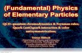 (Fundamental) Physics of Elementary Particlesphysics1.howard.edu/~thubsch/FPP1/Slides/1107.pdf · (Fundamental) Physics of Elementary Particles QCD: quantum chromodynamics & Feynman