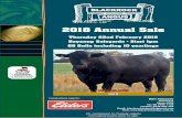 2018 Annual Sale - Blackrock Angusblackrockangus.com.au/pages/2018_catalogue.pdf · 2018 Annual Sale Thursday 22nd February 2018 Boyanup Saleyards - Start 1pm 66 Bulls including 10