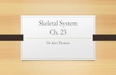 Skeletal System Ch. 23 - Florida Technical collegeftc-drthorson.weebly.com/uploads/5/5/4/4/55444029/skeletal_system... · chapter. 2.List the various types of bones in the body. 3.Identify